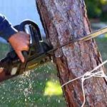 Top 11 Chainsaw Brands Review